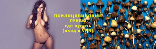 синтетический гашиш Алексеевка