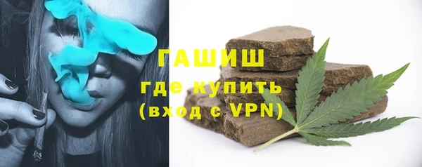 ешки Алексин