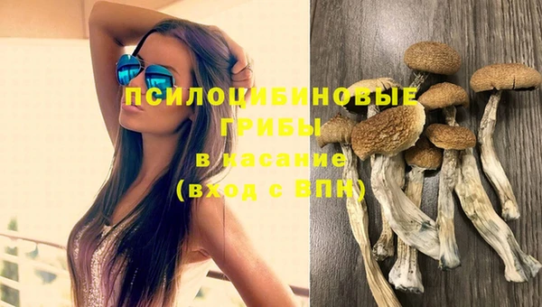 ешки Алексин