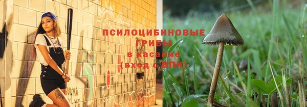 синтетический гашиш Алексеевка