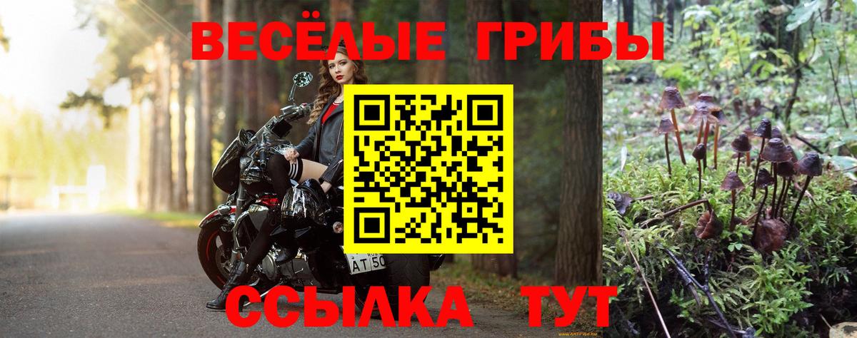 Псилоцибиновые грибы мицелий Лабытнанги