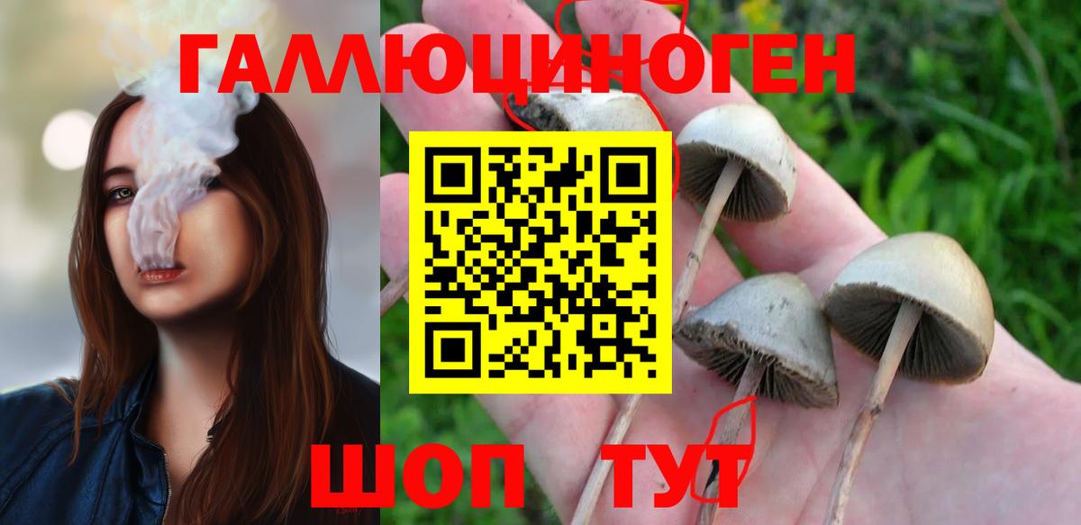 как найти   Псилоцибиновые грибы ЛСД  Вход с VPN  Лабытнанги  Галлюциногенные грибы Psilocybe 